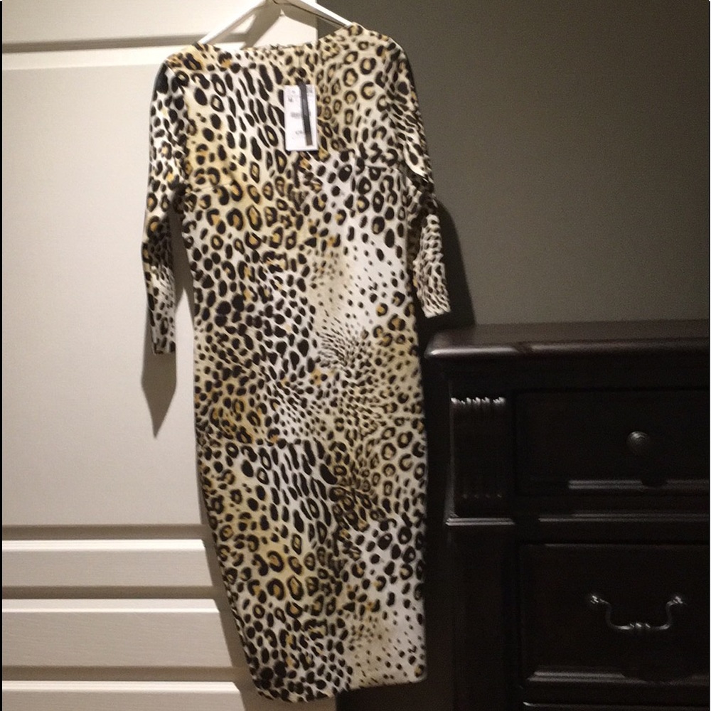Zara Leopard Dress